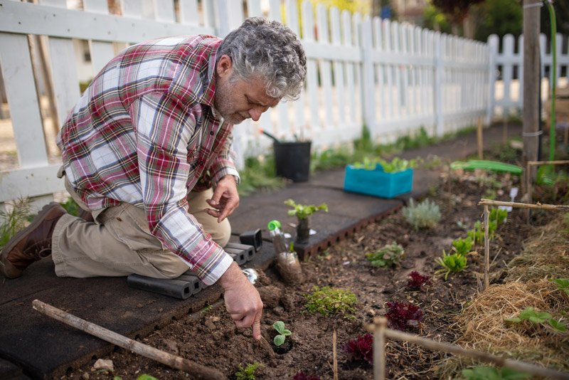 Senior man with dementia gardening